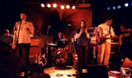 Delgados live.jpg (35201 bytes)