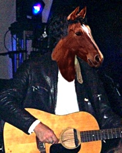 ashcroft-horse-large.jpg (39761 bytes)