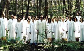 polyphonic spree.jpg (14190 bytes)