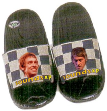 slippersLarge.jpg (36393 bytes)