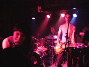 yeah yeah yeahs live.jpg (30326 bytes)